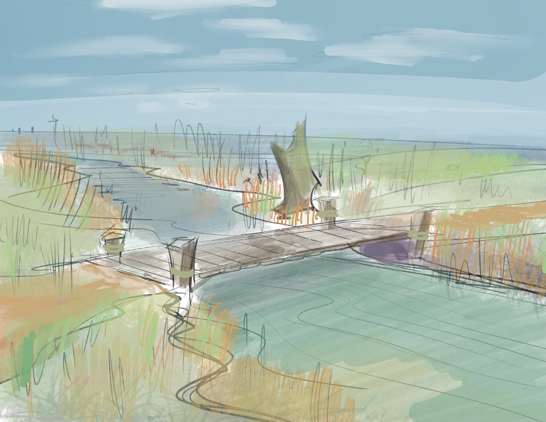 Evolving Take on Aesop’s Fables